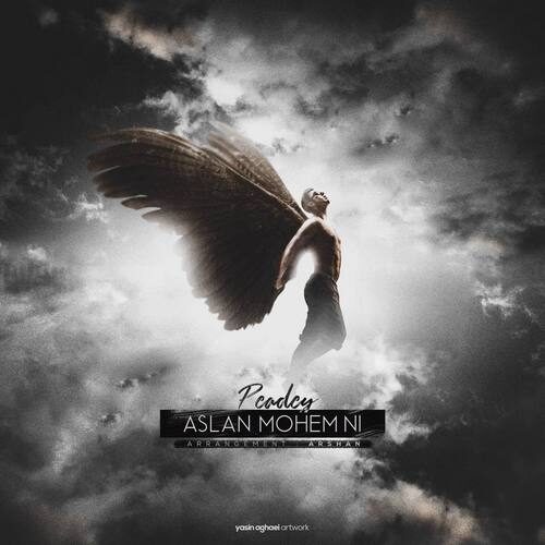 دانلود آهنگ پیدی اصلا مهم نی